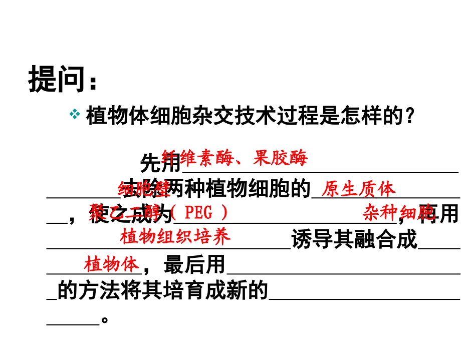 选三222动物细胞融合与单克隆抗体_第2页