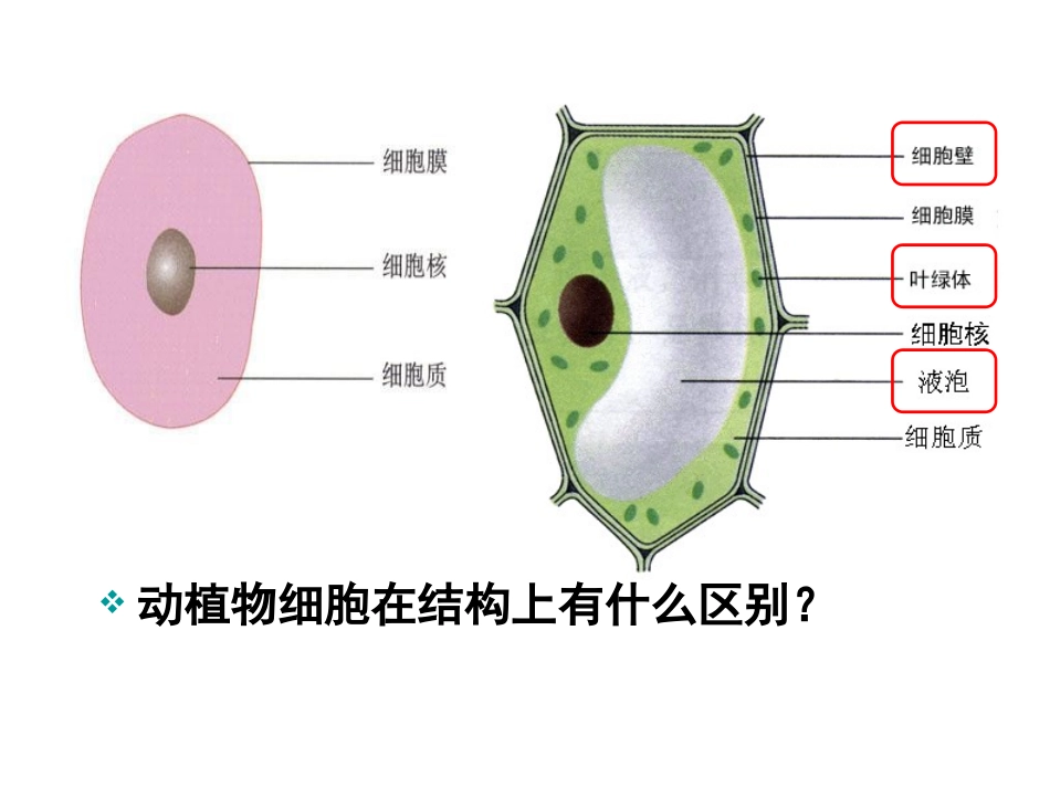 选三222动物细胞融合与单克隆抗体_第3页