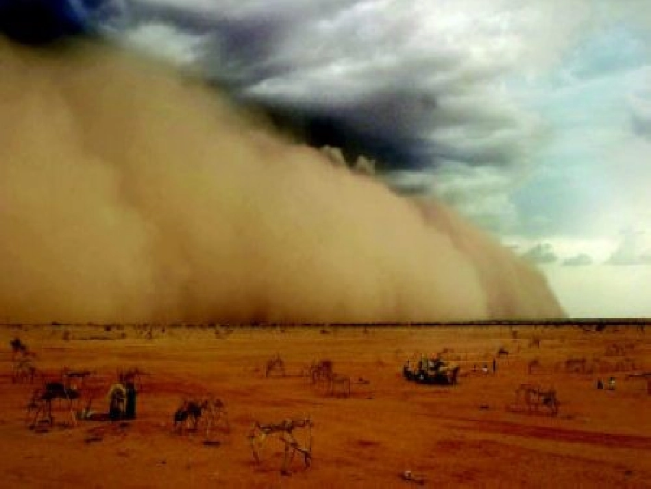 走_我们去植树_第3页