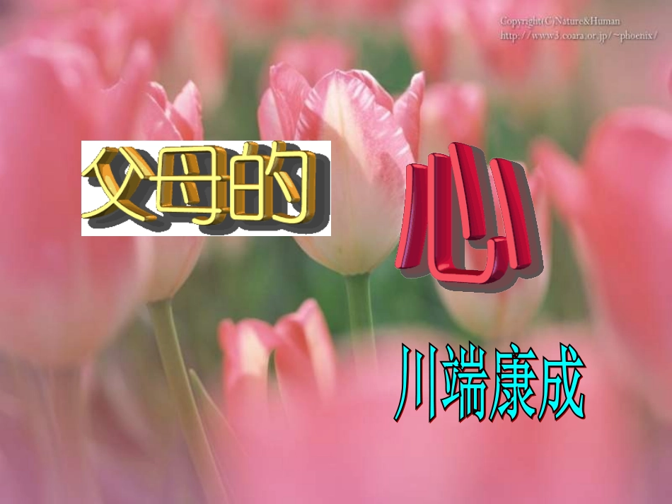 父母的心城关_第2页