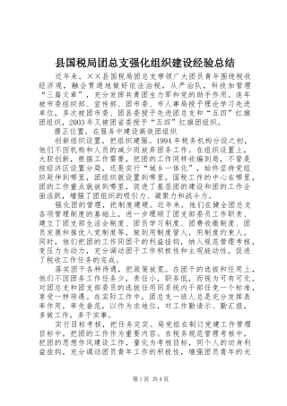 县国税局团总支强化组织建设经验总结 