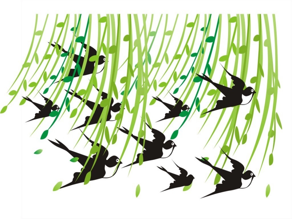 美术活动：小燕子PPT_第2页