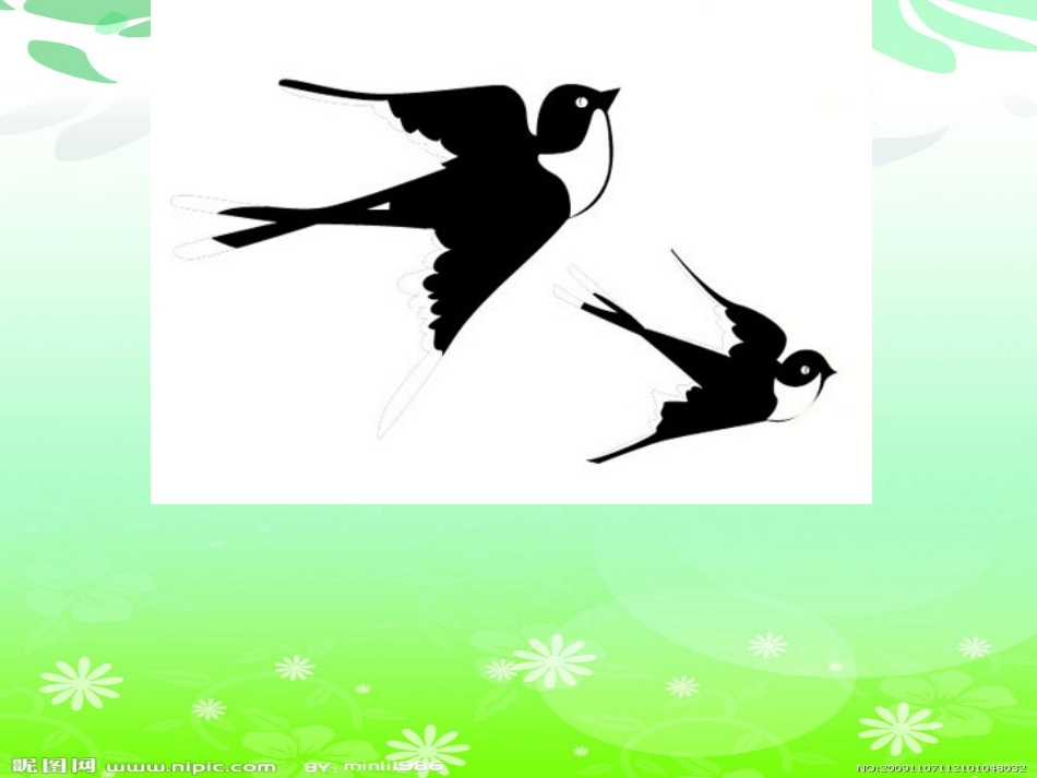 美术活动：小燕子PPT_第3页