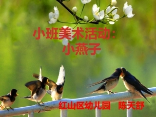 美术活动：小燕子PPT