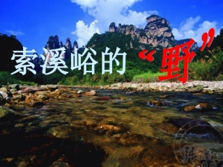 第二课时课件-2815629