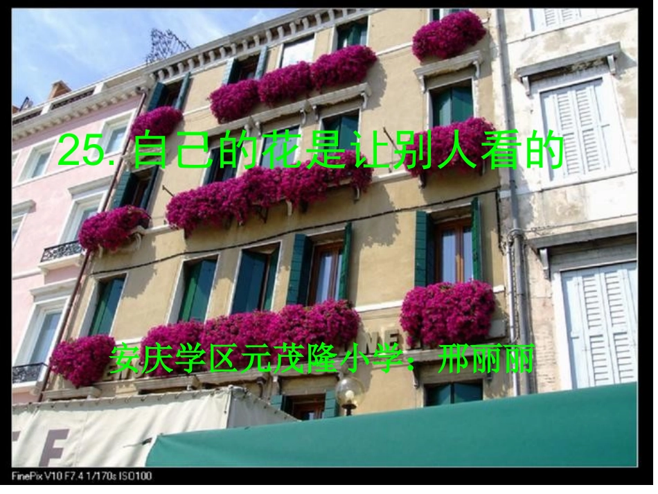 自己的花第一课时_第1页