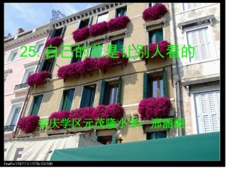 自己的花第一课时