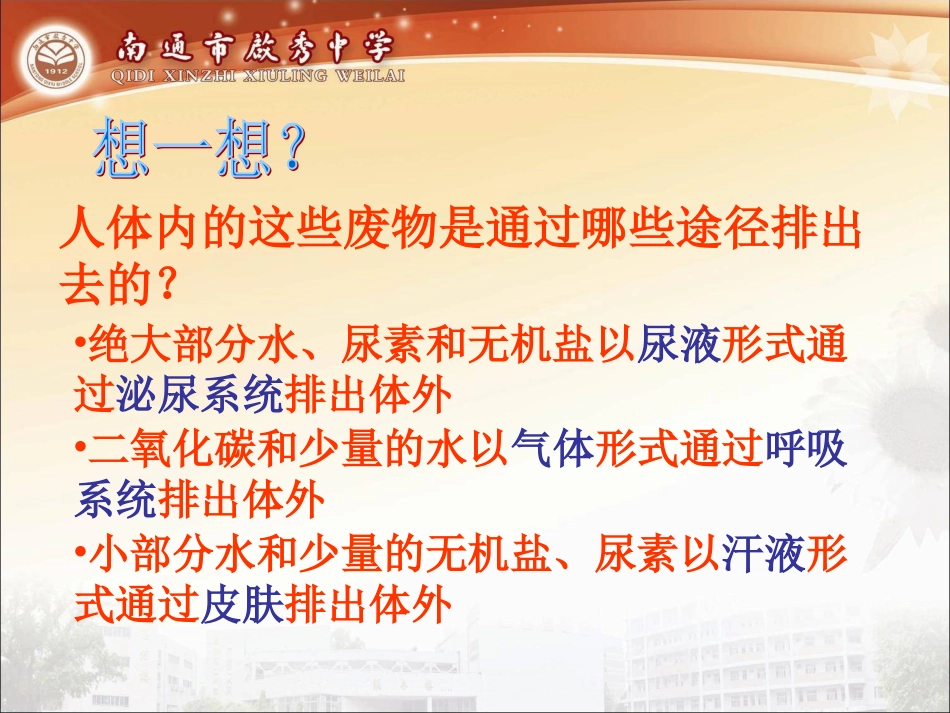 排泄：人体内废物的排出_第3页