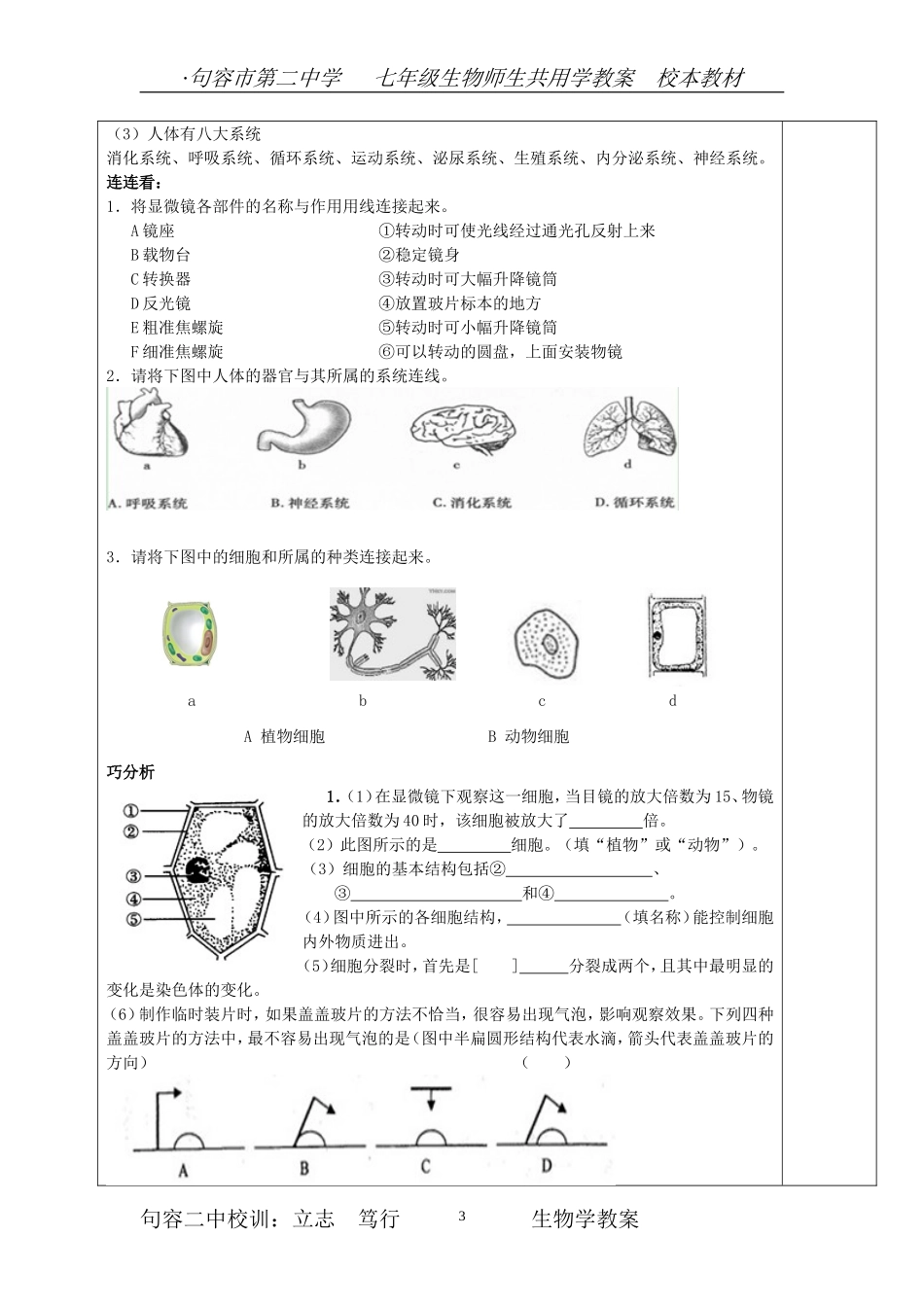 第8-9章生物体的结构层次（知识梳理）_第3页