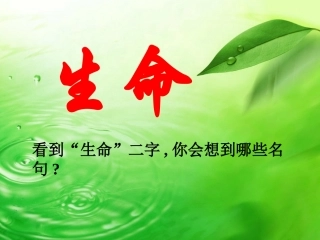 《谈生命》教学课件