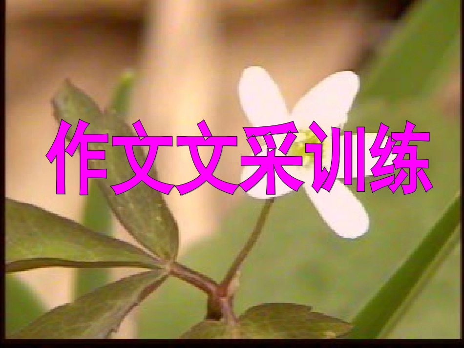高考语文作文文采训练课件_第3页