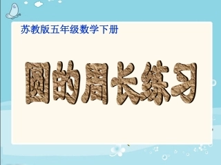 圆的周长练习课件