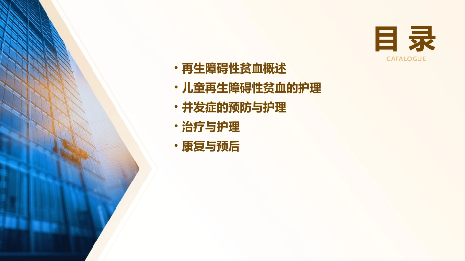 儿童再生障碍性贫血护理课件_第2页