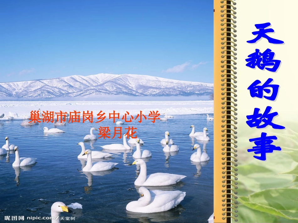天鹅的故事第二课时_第1页