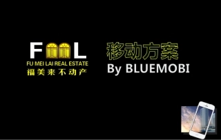 (策划方案)福美来不动产2014.01.07-By郑静雅