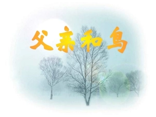 父亲和鸟a112076