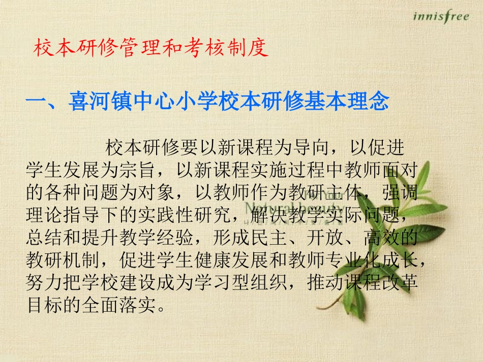 第一期简报-(2)_第3页