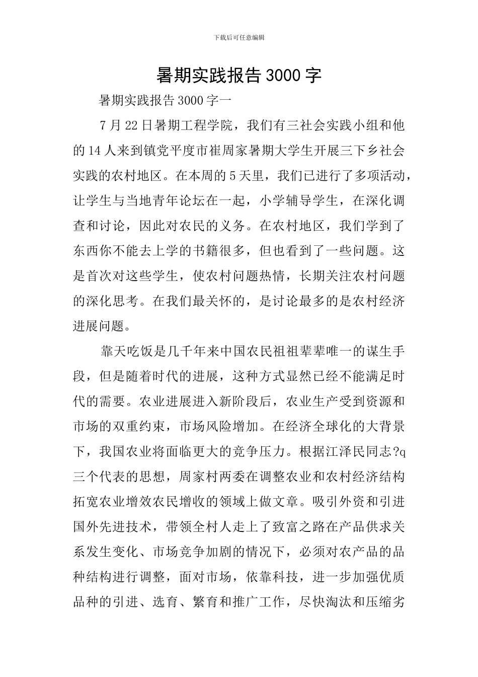 暑期实践报告3000字_第1页