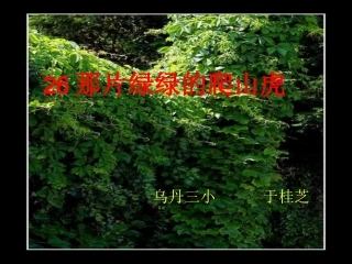 那片绿绿的爬山虎于桂芝