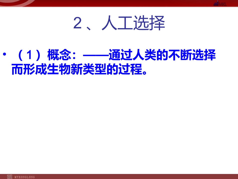 生物：733生物进化的原因课件_第2页