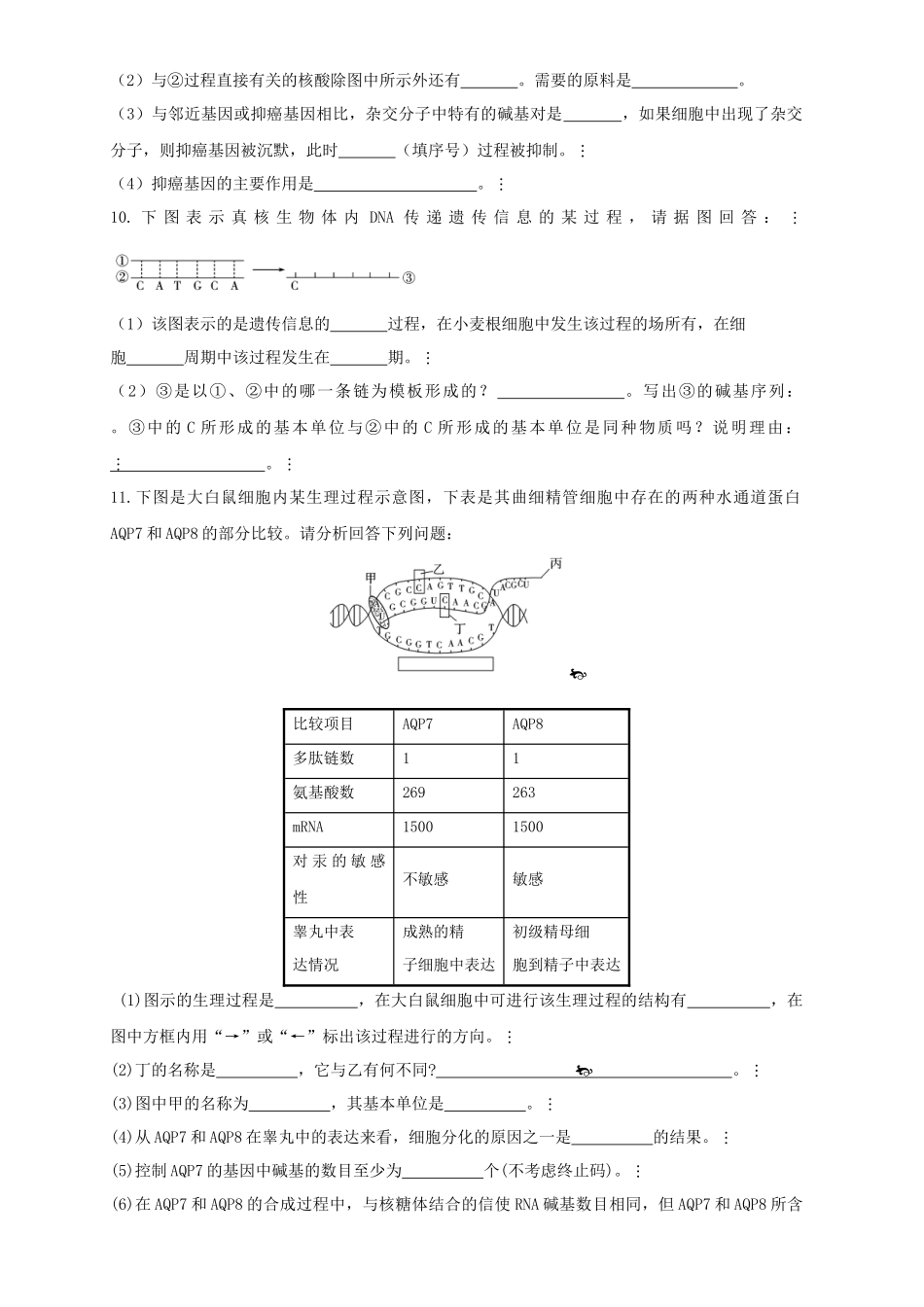 四基因的表达_第3页