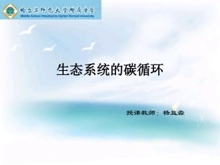 生态系统的碳循环