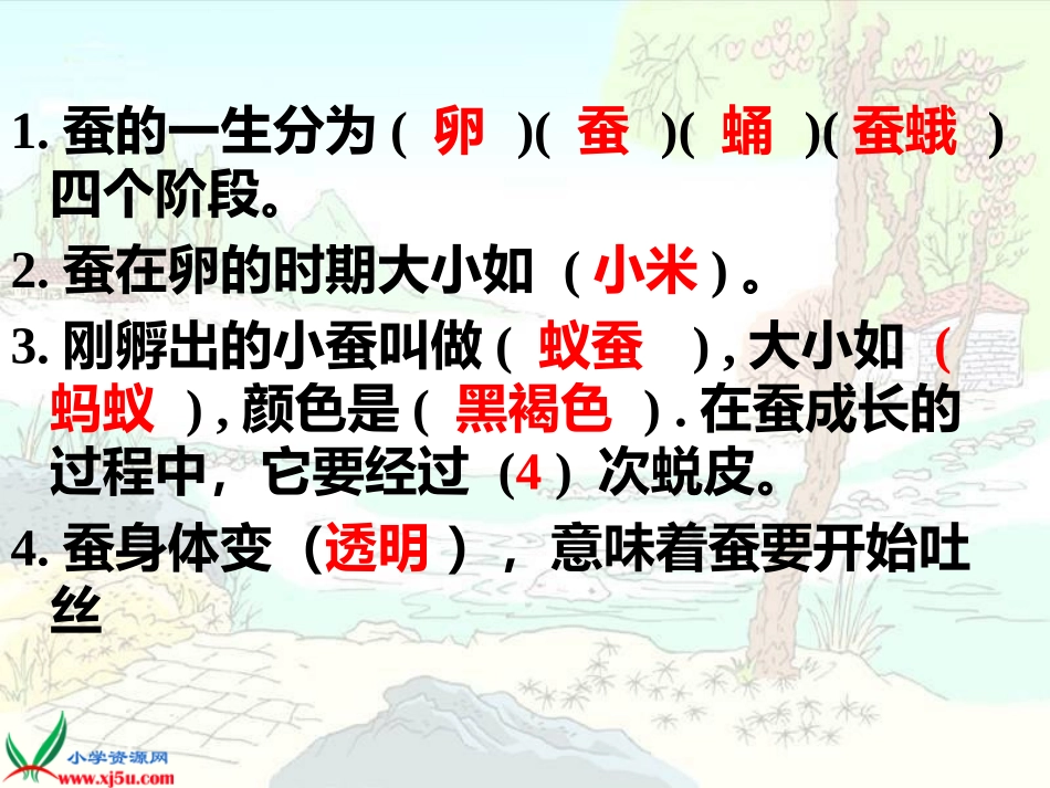 (苏教版)四年级科学下册课件_我们来抽丝_1_第2页