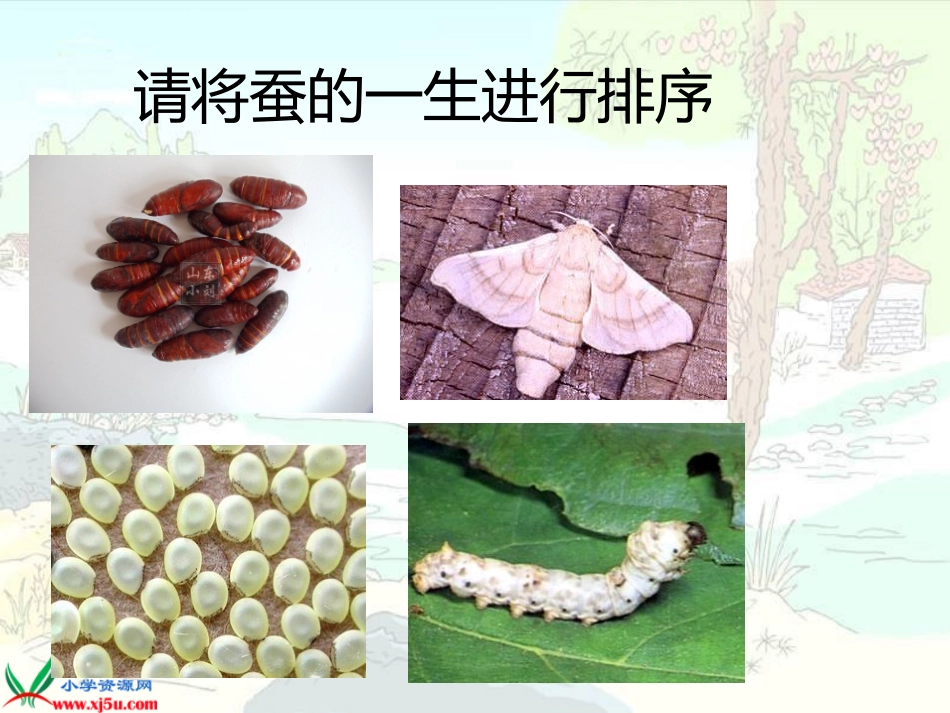 (苏教版)四年级科学下册课件_我们来抽丝_1_第3页
