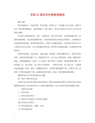 手机IC项目可行性研究报告 