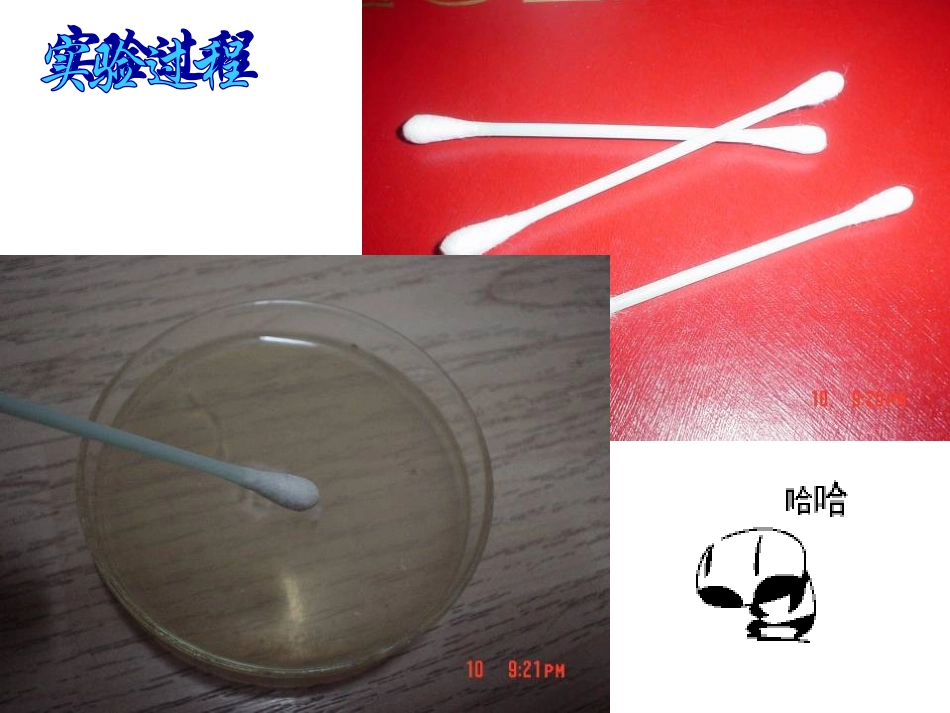 探究细菌的生长_第3页