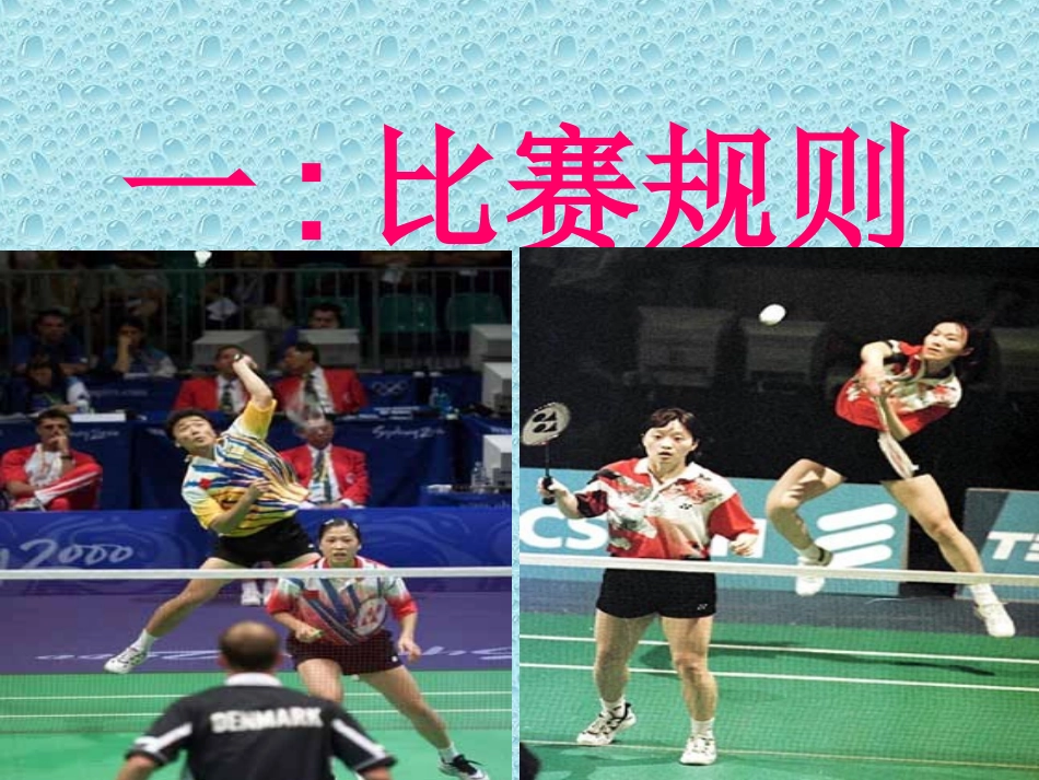 羽毛球知识讲座_第2页