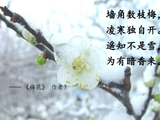 王安石变法 (2)