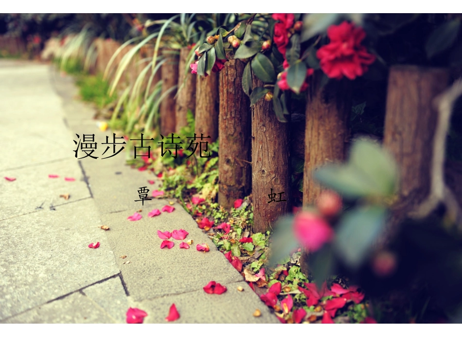 漫步古诗苑综合性学习_第1页