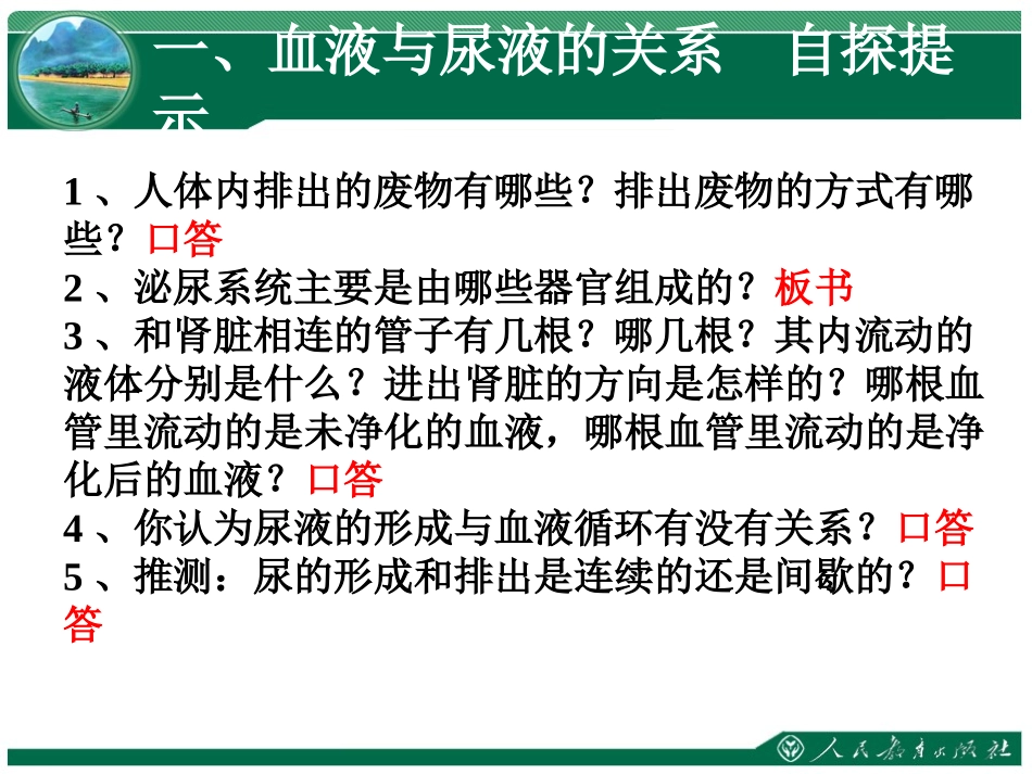 2015《人体内废物的排出》_第3页