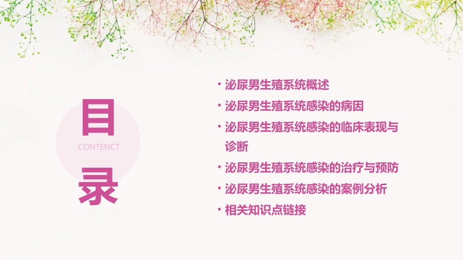 泌尿男生殖系统感染那彦群课件_第2页