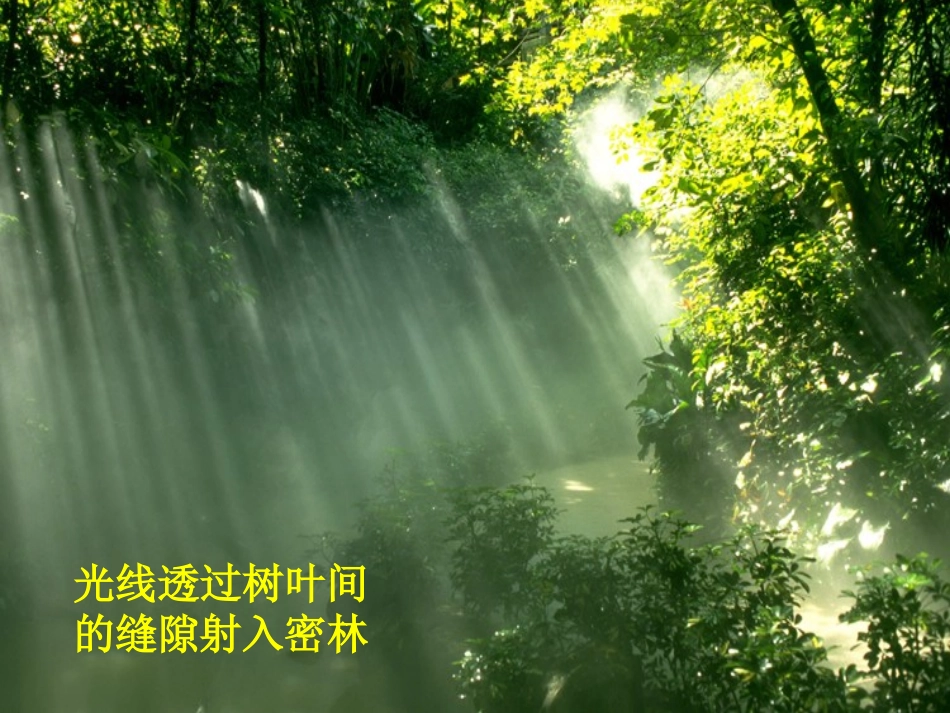 分散系及其分类2_第2页