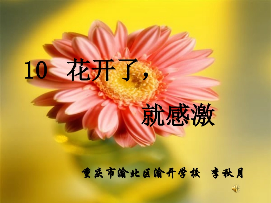花开了就感激_第2页