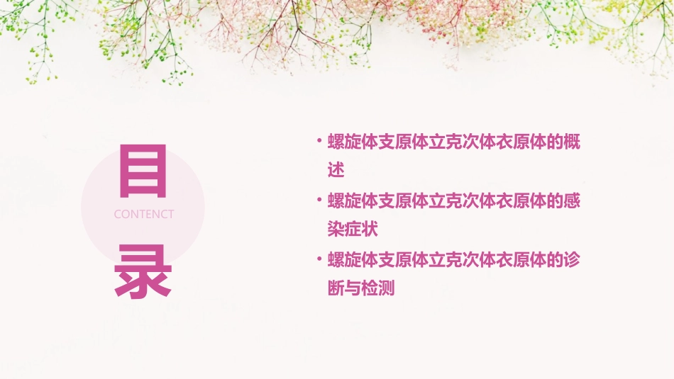 螺旋体支原体立克次体衣原体课件_第2页