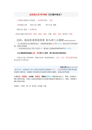 沈阳街头有40种树它们都叫啥名