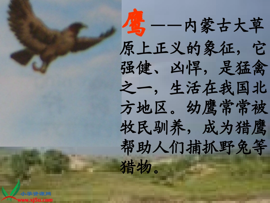 北师大版五年级语文上册《成吉思汗和鹰%203》PPT课件_第2页