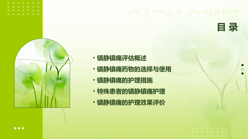 镇静镇痛评估护理课件_第2页