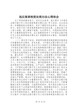 违反规章制度处理办法体会心得