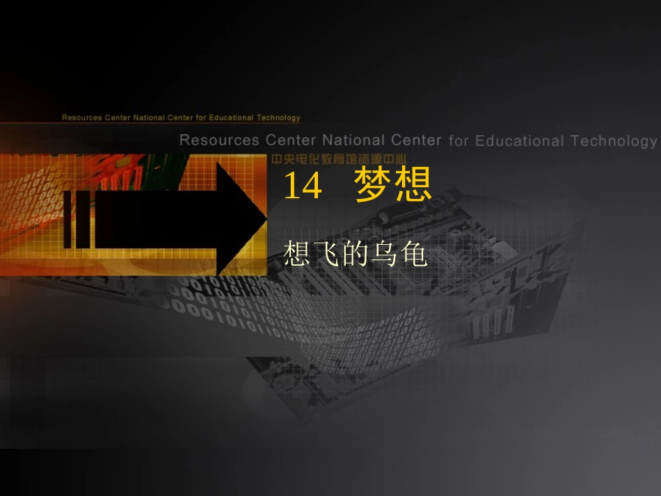 《想飞的乌龟》课堂演示课件_第1页