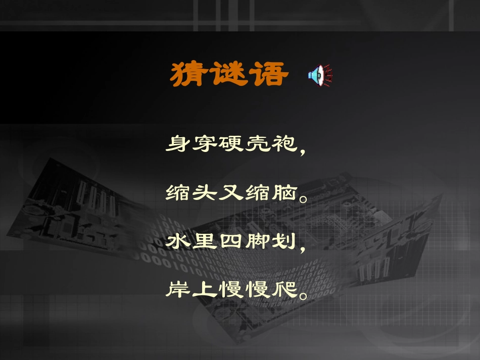 《想飞的乌龟》课堂演示课件_第2页