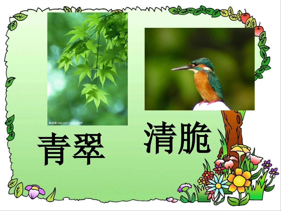 翠鸟二研课件_第2页
