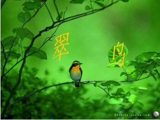 翠鸟二研课件