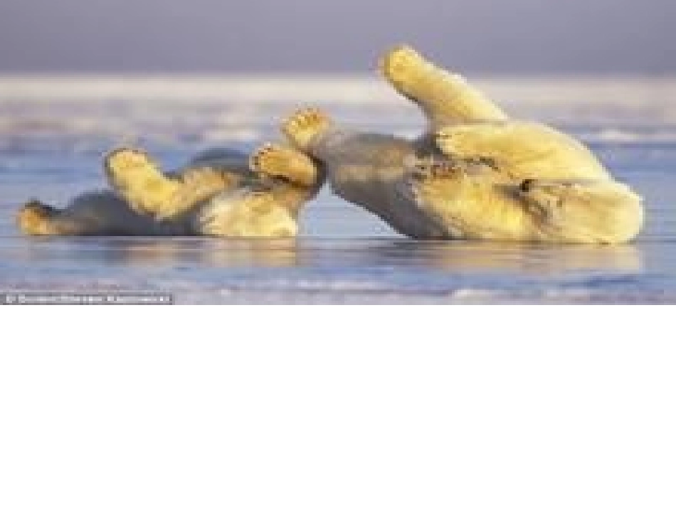 人间第一情课件2_第2页