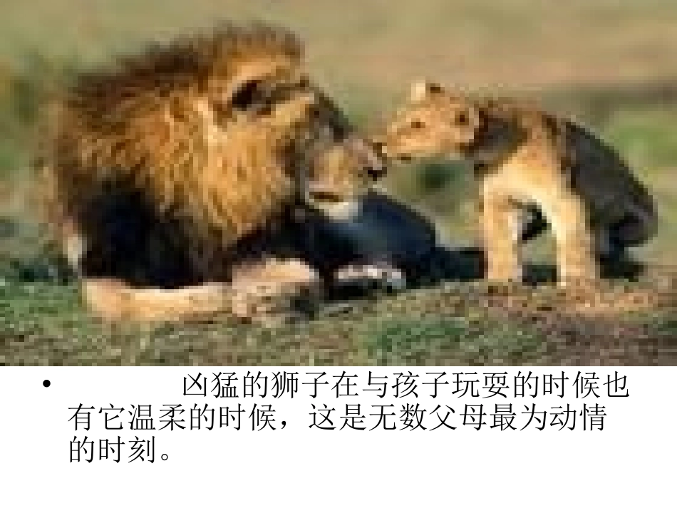 人间第一情课件2_第3页