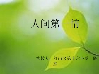 人间第一情课件2