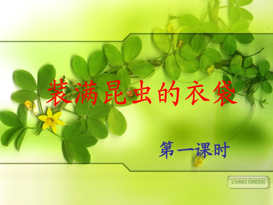 装满昆虫的衣袋 (2)_第1页